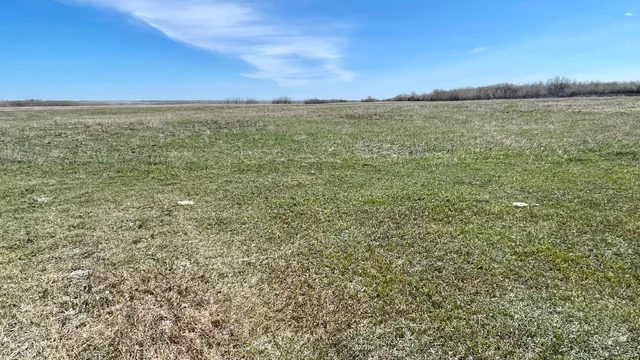 4 20240427_182001215_iOS (Large)