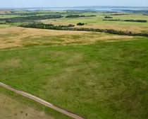 4 20250818_203030878_iOS