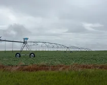 4Pivot-1.jpeg