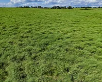 4aSE18-53-7W33.jpg