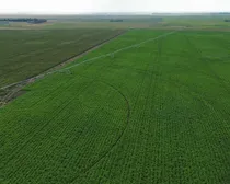 4dji_fly_20260810_163522_262_1786544502049_photo_optimized2.JPG