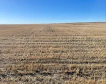 5 20231019_212133991_iOS (Large)