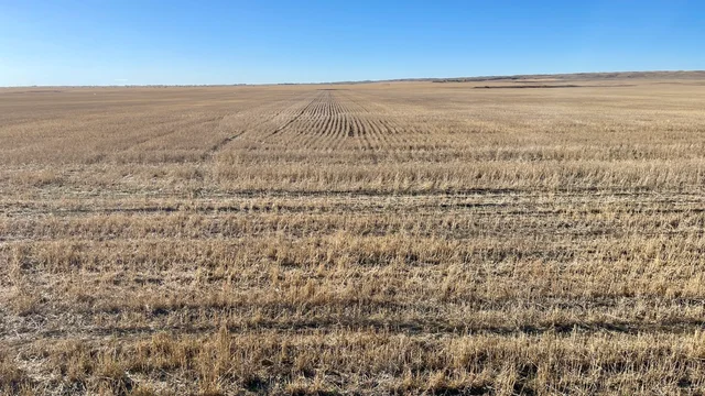 5 20231019_212133991_iOS (Large)