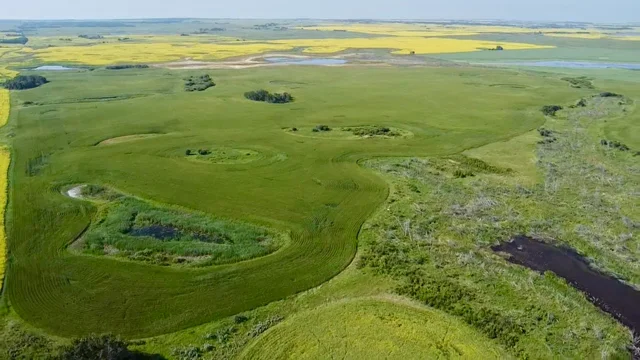 5 20250728_155612656_iOS (Large)