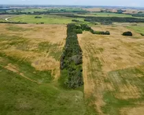 5 20250818_203159640_iOS