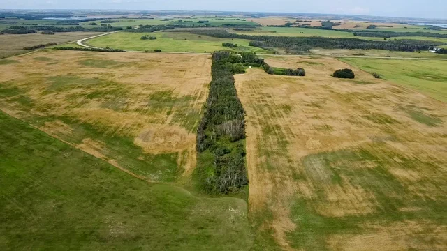 5 20250818_203159640_iOS