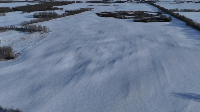 5 NW 5 and NE 5-53-7 W3 Farmland