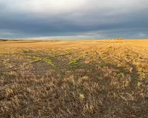 5d 20251025_141243355_iOS (Large)