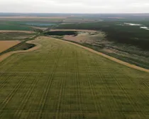 5dji_fly_20260805_195444_104_1786294074762_photo_optimized.JPG