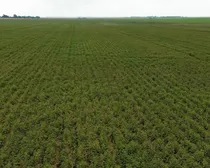 5dji_fly_20260810_163320_253_1786544506260_photo_optimized2.JPG