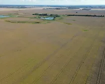 5dji_fly_20260908_182948_361_1790367585633_photo_optimized.JPG