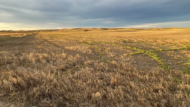 5e 20251025_141239317_iOS (Large)