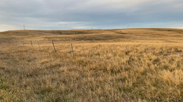 5f 20251025_140938482_iOS (Large)