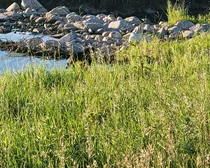 620230619_201110Large.jpg