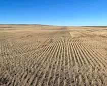 6 20231019_212443_iOS (Large)