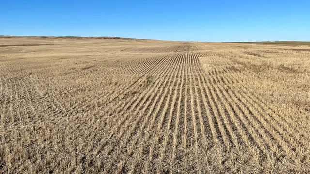 6 20231019_212443_iOS (Large)