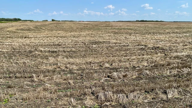 6 20250604_165734268_iOS