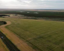 6dji_fly_20260805_195646_114_1786294352088_photo_optimized.JPG