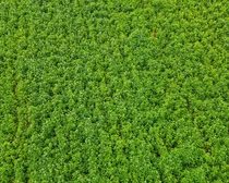 6dji_fly_20260810_163424_257_1786544504409_photo_optimized2.JPG
