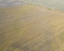 6dji_fly_20260908_183118_366_1790367583853_photo_optimized.JPG