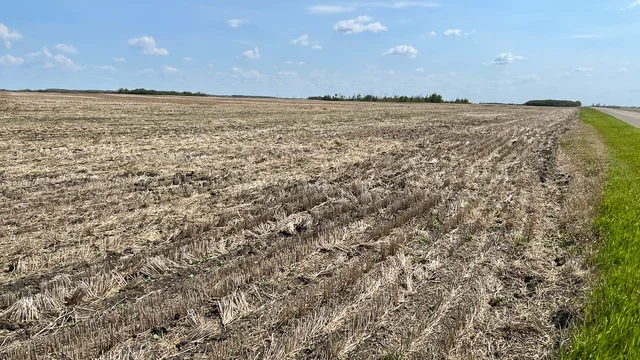 7 20250604_165736320_iOS