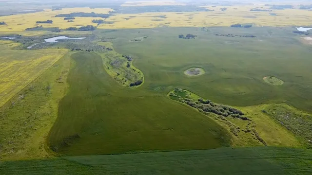 7 20250728_155913610_iOS (Large)