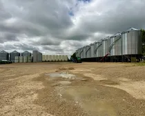 7MainYard-6.jpeg