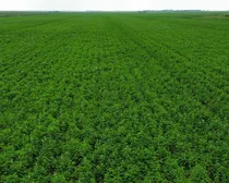 7dji_fly_20260810_163454_261_1786544502508_photo_optimized2.JPG