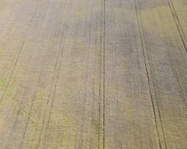 7dji_fly_20260908_183042_365_1790367584253_photo_optimized.JPG