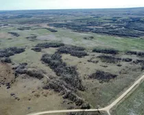 8 20240427_180852000_iOS (Large)