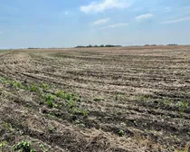 8 20250604_165544356_iOS