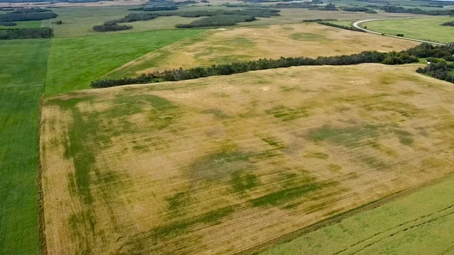 8 20250818_203253165_iOS