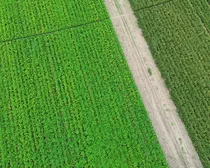 8dji_fly_20260810_163818_270_1786544498530_photo_optimized2.JPG