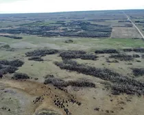 9 20240427_180952000_iOS (Large)