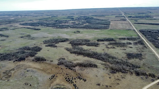 9 20240427_180952000_iOS (Large)