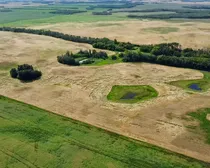 9 20250818_203417399_iOS