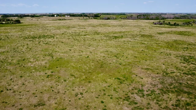 9a 20250604_165006000_iOS