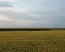 9dji_fly_20260805_194926_79_1786294395104_photo_optimized.JPG