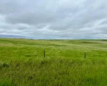 Calderbank-1.jpeg