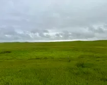 Calderbank-10.jpeg