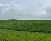 Calderbank-100.jpeg