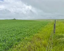 Calderbank-107.jpeg