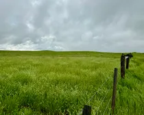 Calderbank-110.jpeg