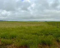 Calderbank-112.jpeg