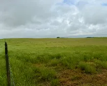 Calderbank-116.jpeg