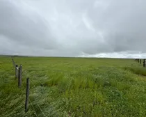 Calderbank-117.jpeg