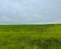 Calderbank-12.jpeg