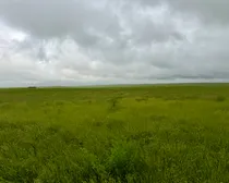 Calderbank-121.jpeg