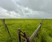 Calderbank-123.jpeg