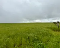 Calderbank-124.jpeg